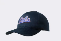 Breathable Poly Twill  4011